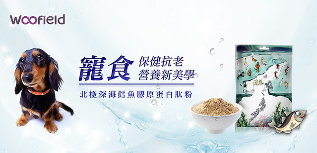 补肾中医中药有哪些