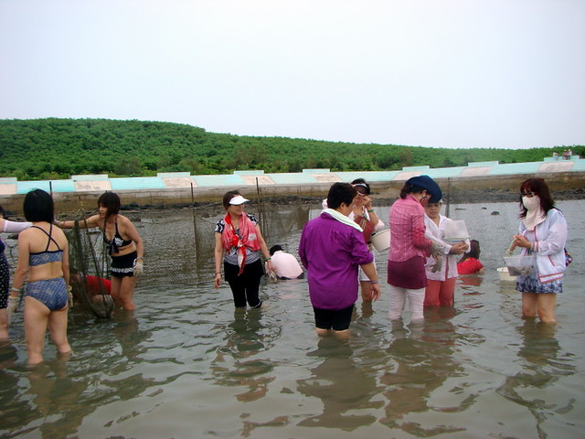 什么汤补肾去肝火